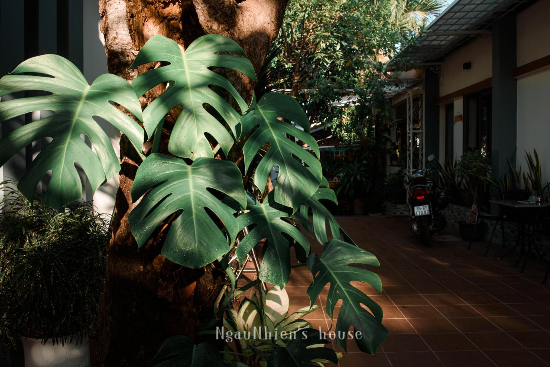 Ngaunhien'S House - Homestay Phan Rang Exterior foto